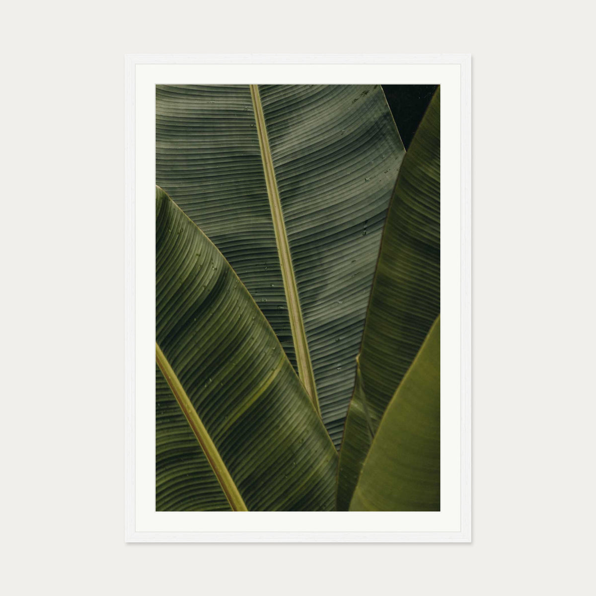 Botanical Portrait Wall Art Print — 70 x 100 cm — White Frame