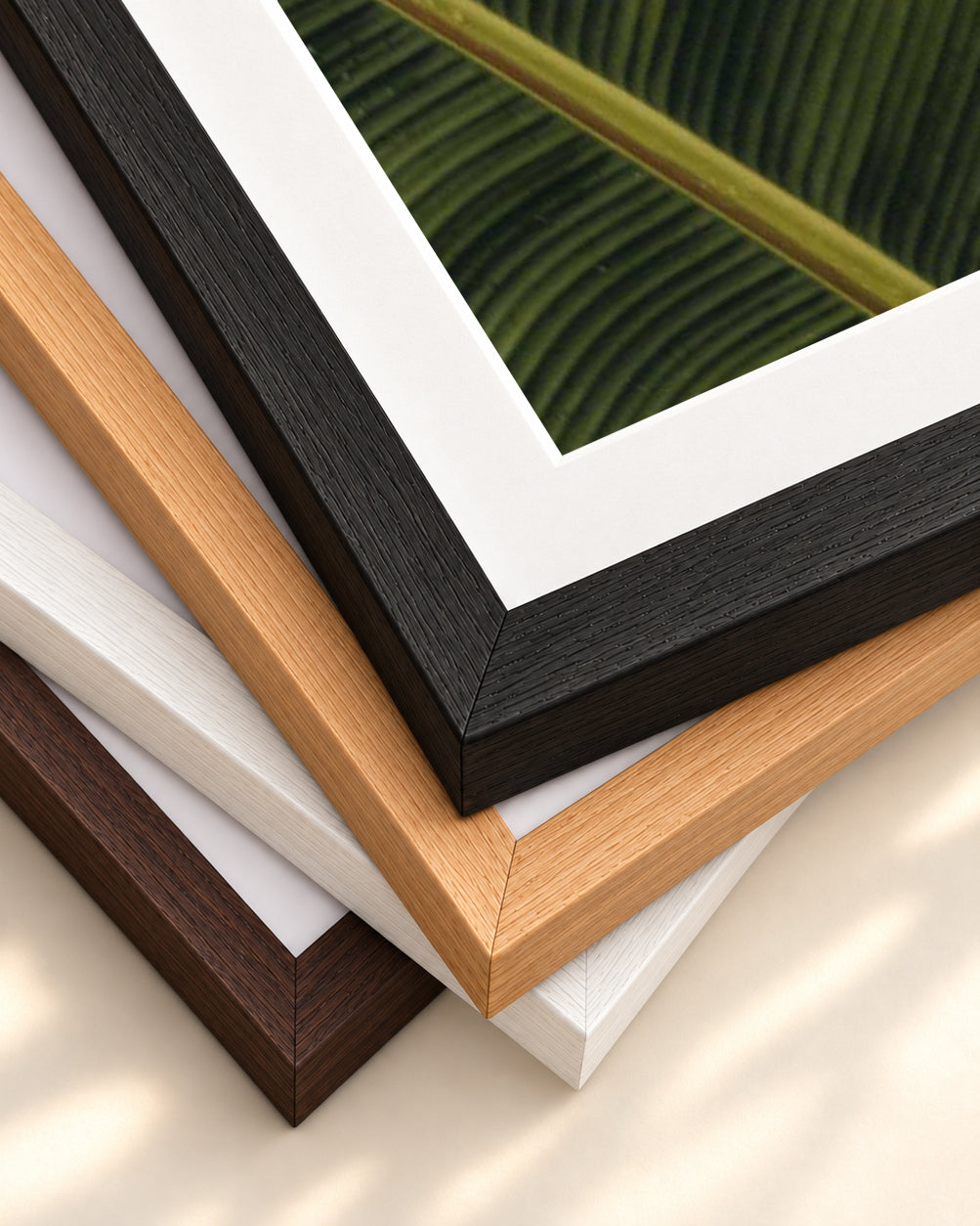 Botanical Portrait Wall Art Print — framed print corner with 5 cm mount and bevel
