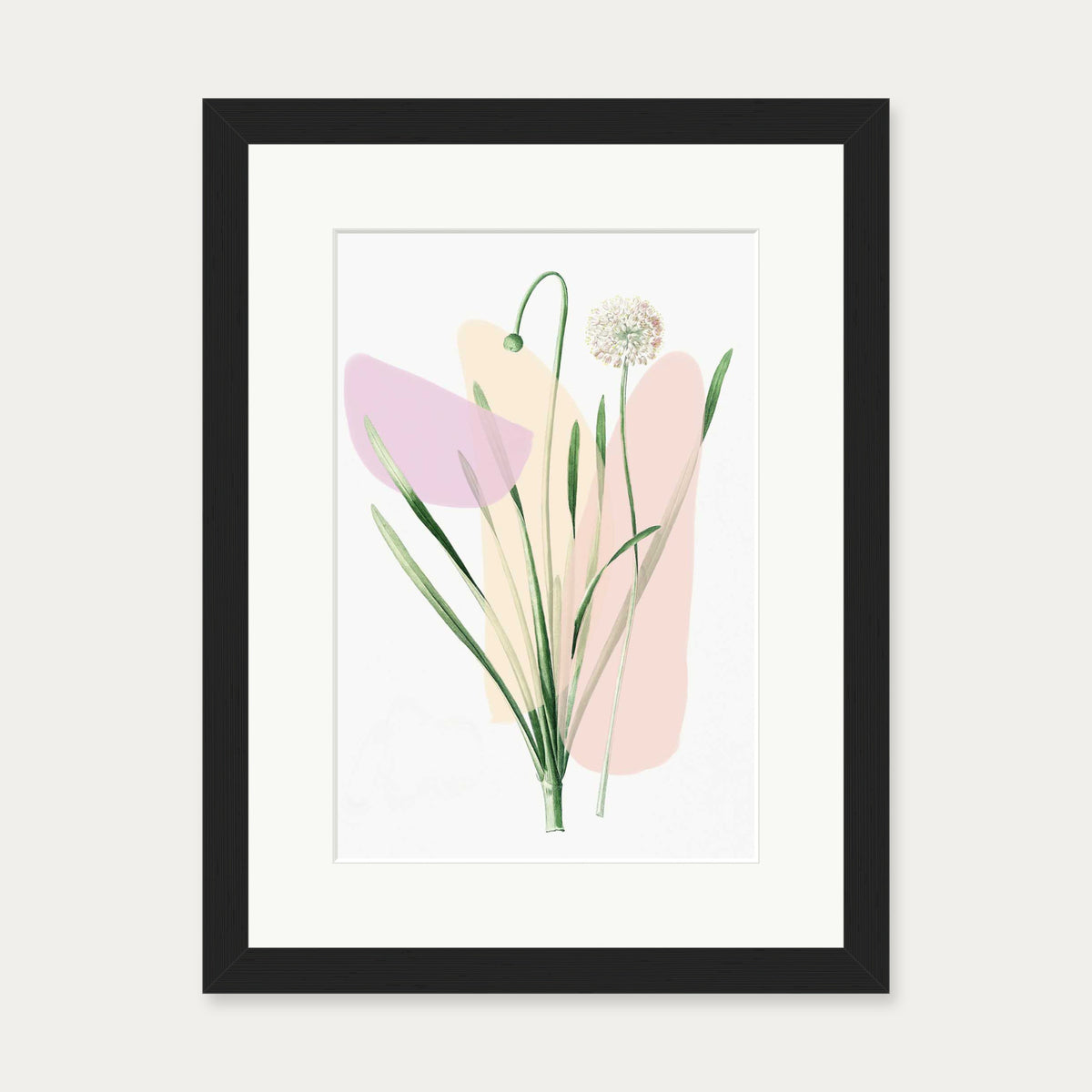 Botanical Vintage Blush Hues Art Print — 30 x 40 cm — Black Frame