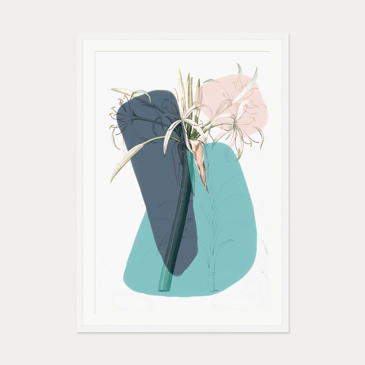 Botanical Vintage Teal Art Print — 70 x 100 cm — White Frame