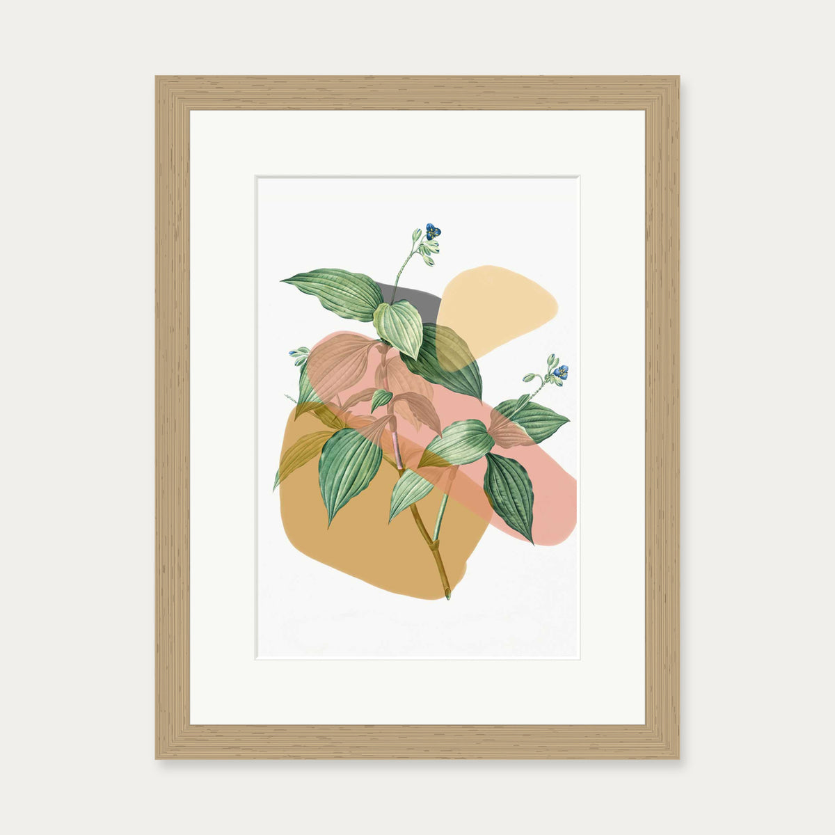 Botanical Vintage Terracotta Art Print — 30 x 40 cm — Oak Frame