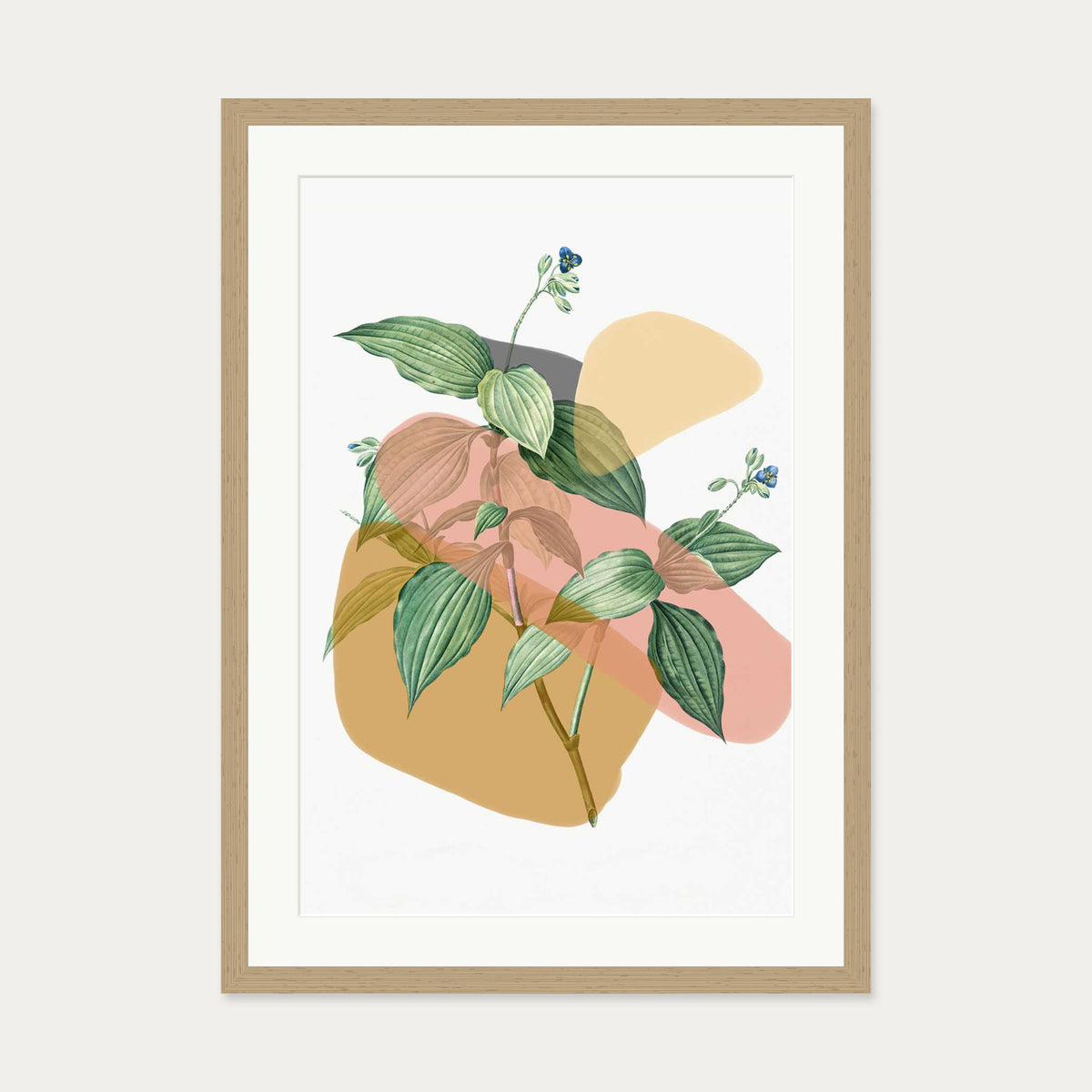 Botanical Vintage Terracotta Art Print — 50 x 70 cm — Oak Frame