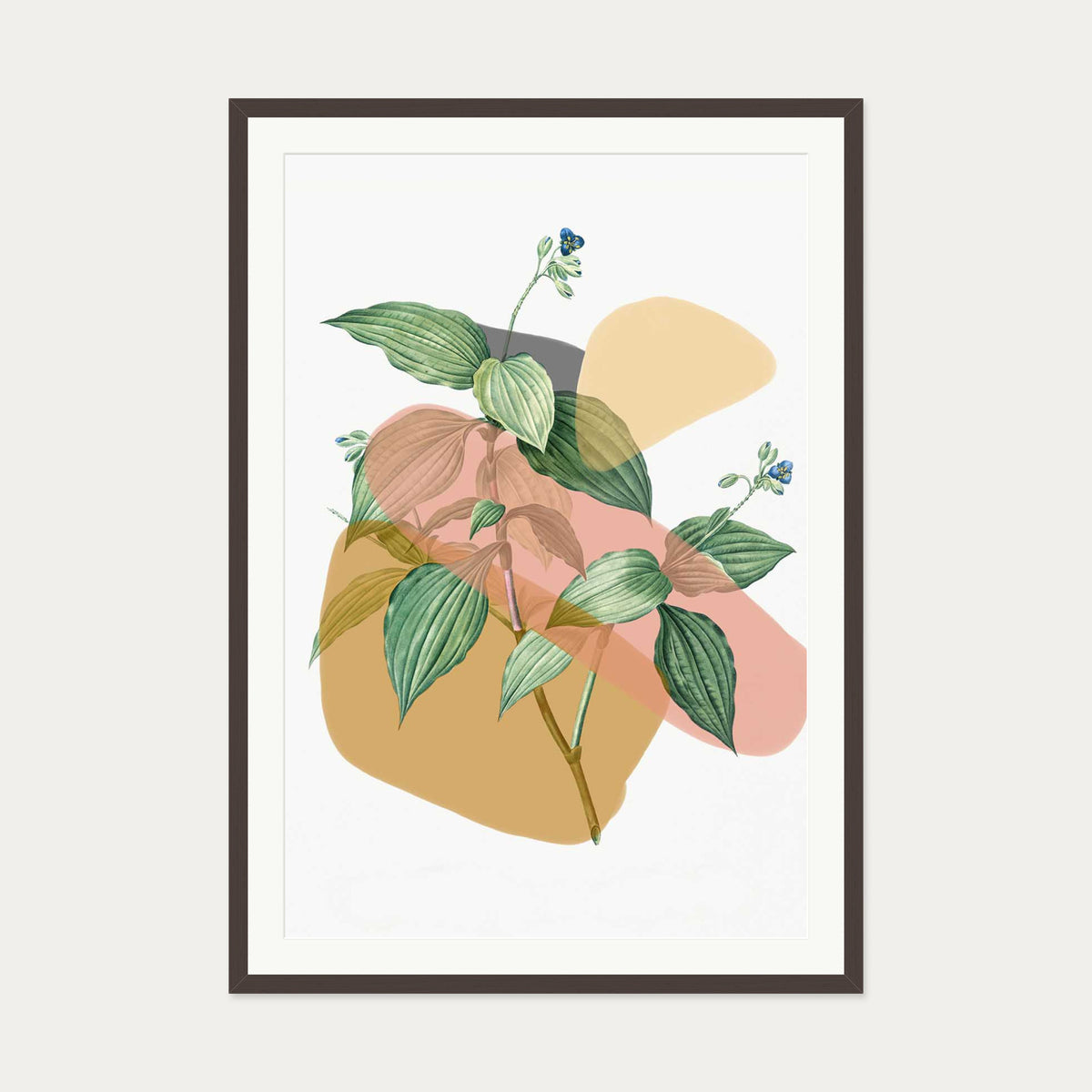 Botanical Vintage Terracotta Art Print — 70 x 100 cm — Brown Frame