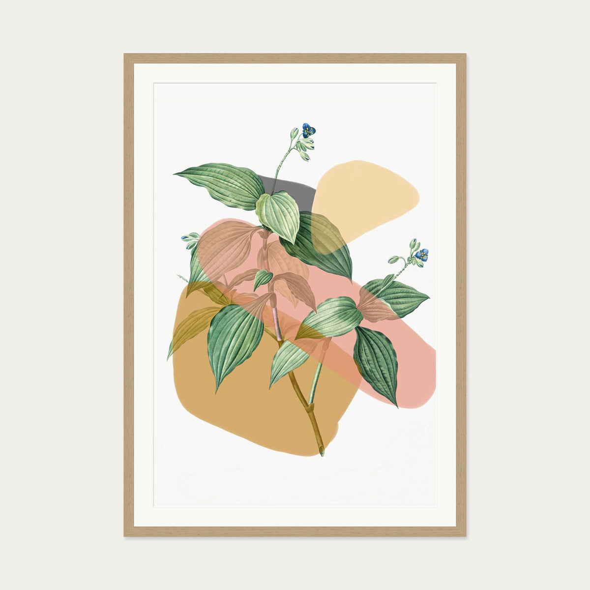 Botanical Vintage Terracotta Art Print — 70 x 100 cm — Oak Frame