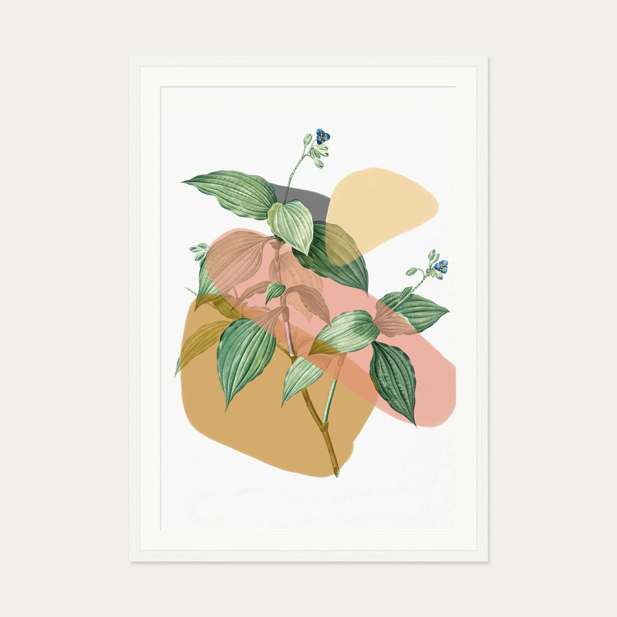 Botanical Vintage Terracotta Art Print — 70 x 100 cm — White Frame