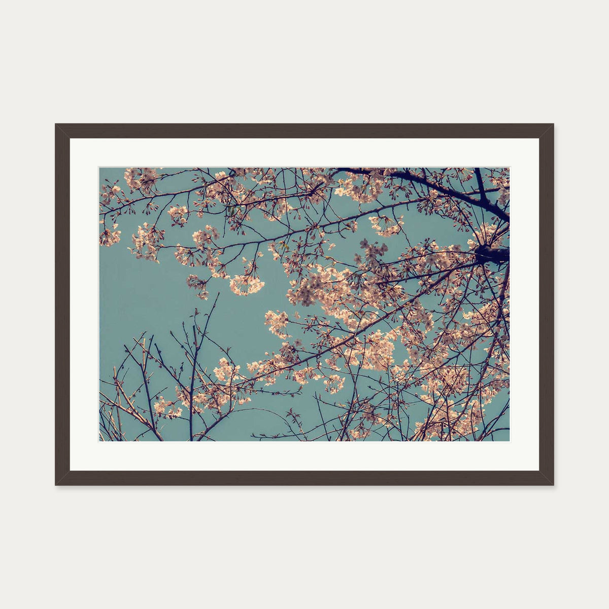 Cherry Blossom Wall Art Print — 50 x 70 cm — Brown Frame