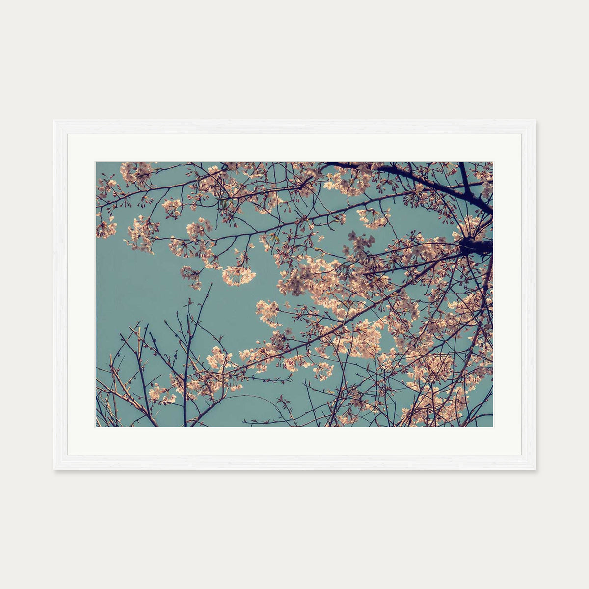 Cherry Blossom Wall Art Print — 50 x 70 cm — White Frame