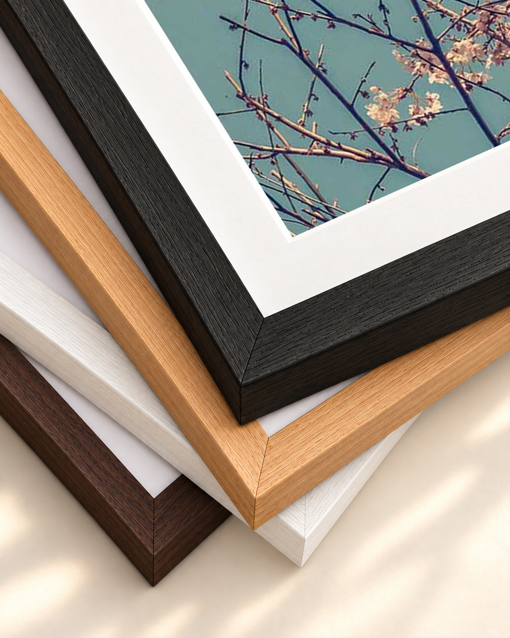 Cherry Blossom Wall Art Print — framed print corner with 5 cm mount and bevel