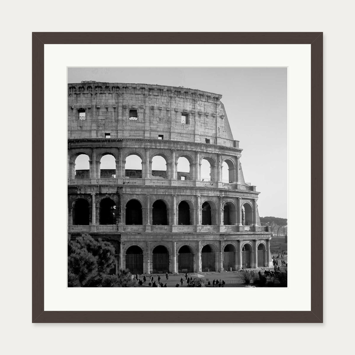 Colosseum Monochrome Framed Art Print — 50 x 50 cm — Brown Frame