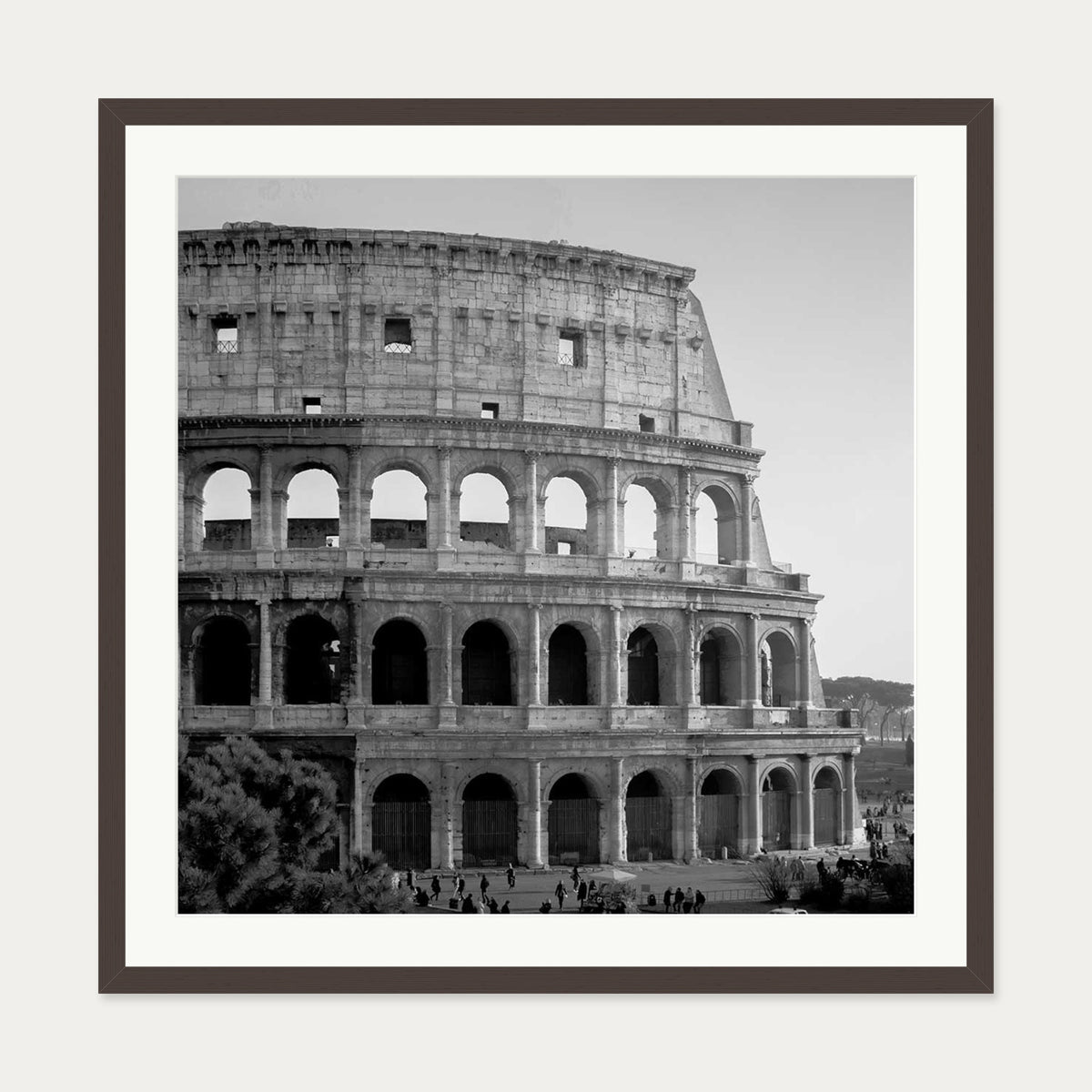 Colosseum Monochrome Framed Art Print — 70 x 70 cm — Brown Frame