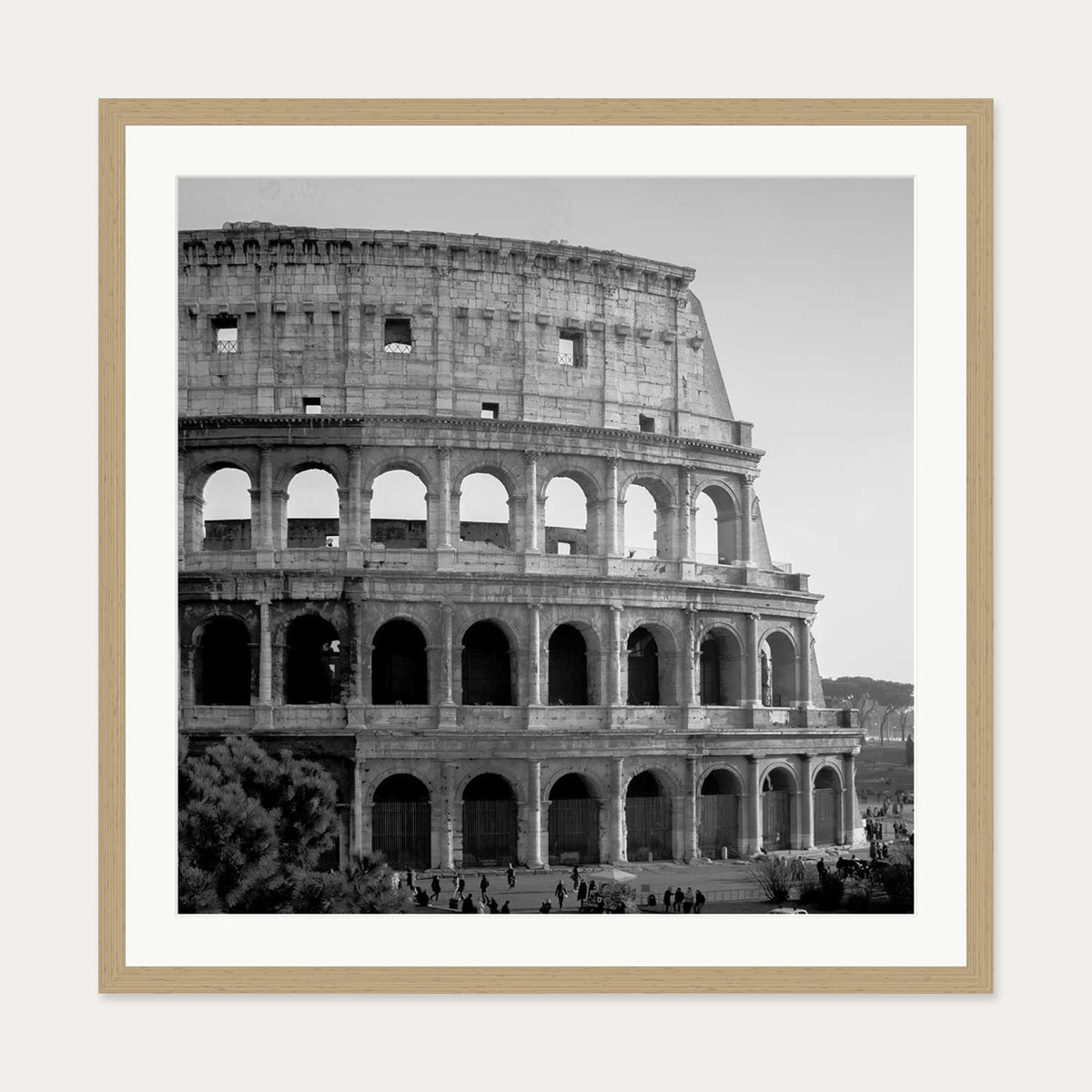 Colosseum Monochrome Framed Art Print — 70 x 70 cm — Oak Frame
