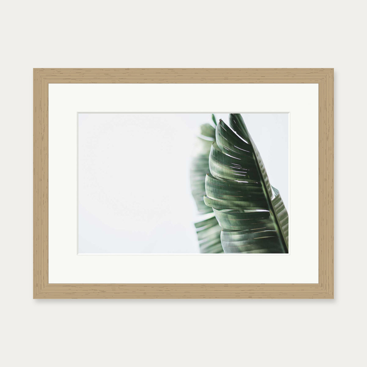 Contemporary Leaves Wall Art Print — 30 x 40 cm — Oak Frame