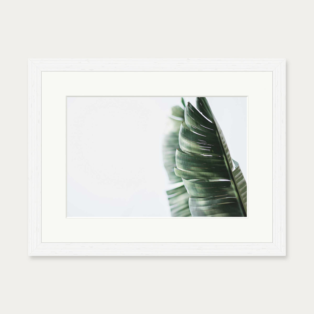 Contemporary Leaves Wall Art Print — 30 x 40 cm — White Frame