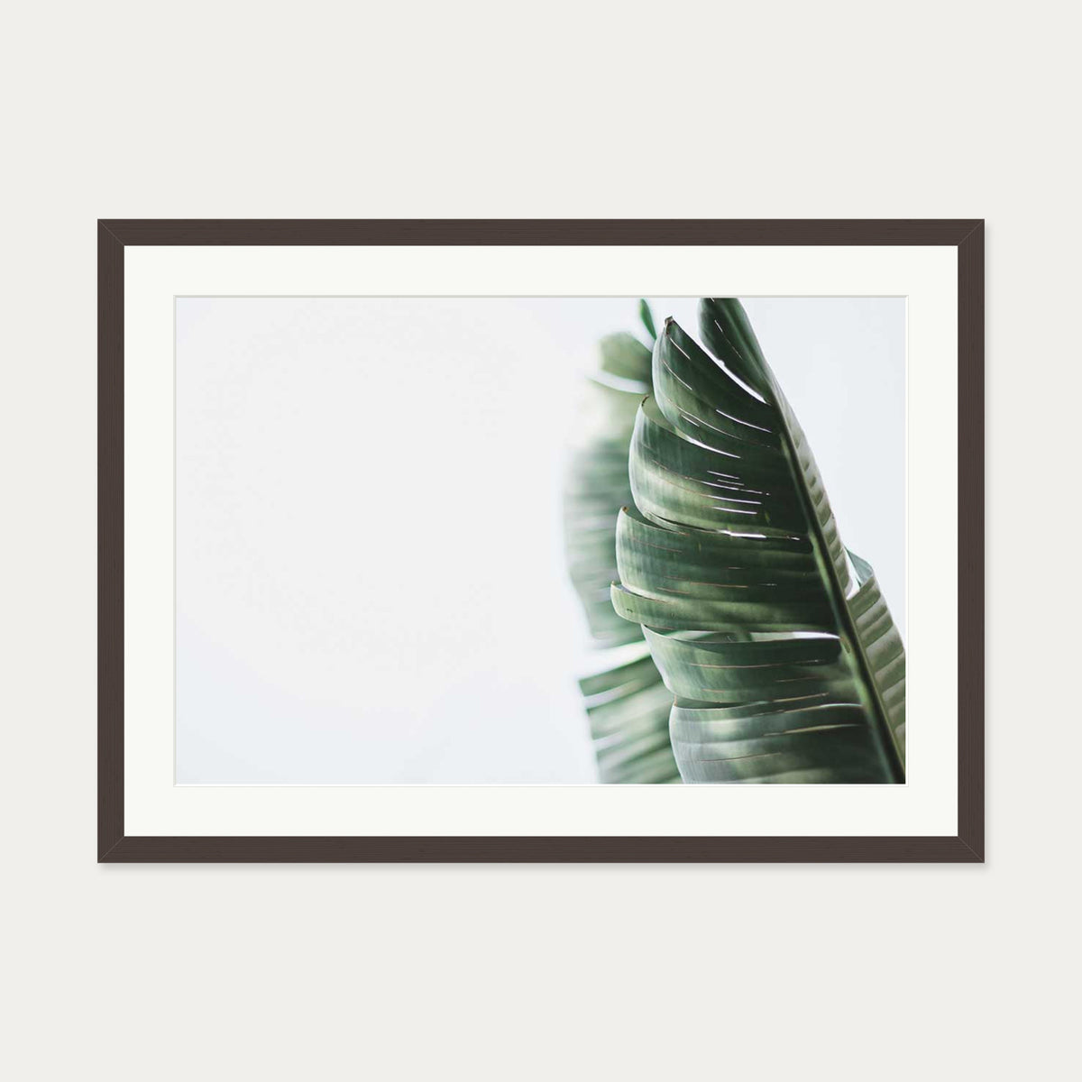 Contemporary Leaves Wall Art Print — 50 x 70 cm — Brown Frame