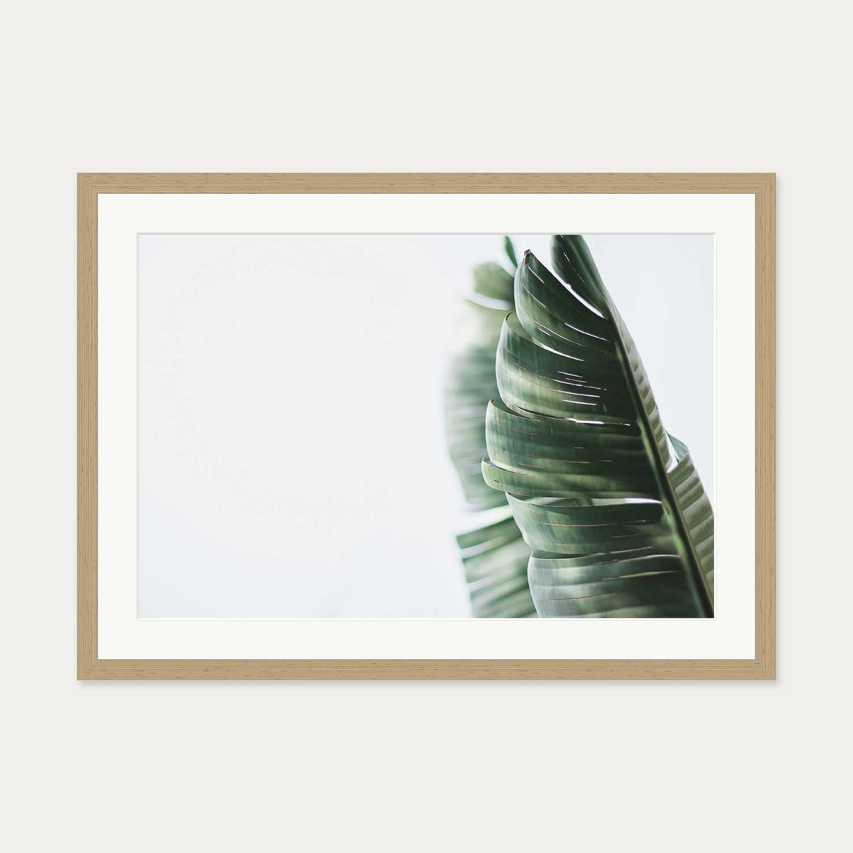 Contemporary Leaves Wall Art Print — 50 x 70 cm — Oak Frame