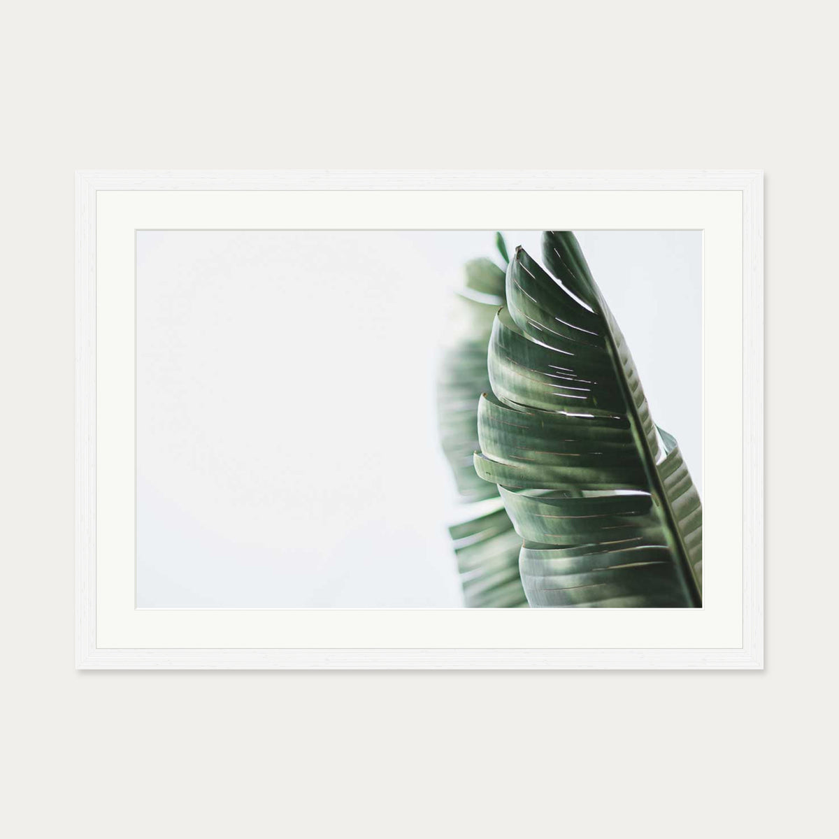 Contemporary Leaves Wall Art Print — 50 x 70 cm — White Frame