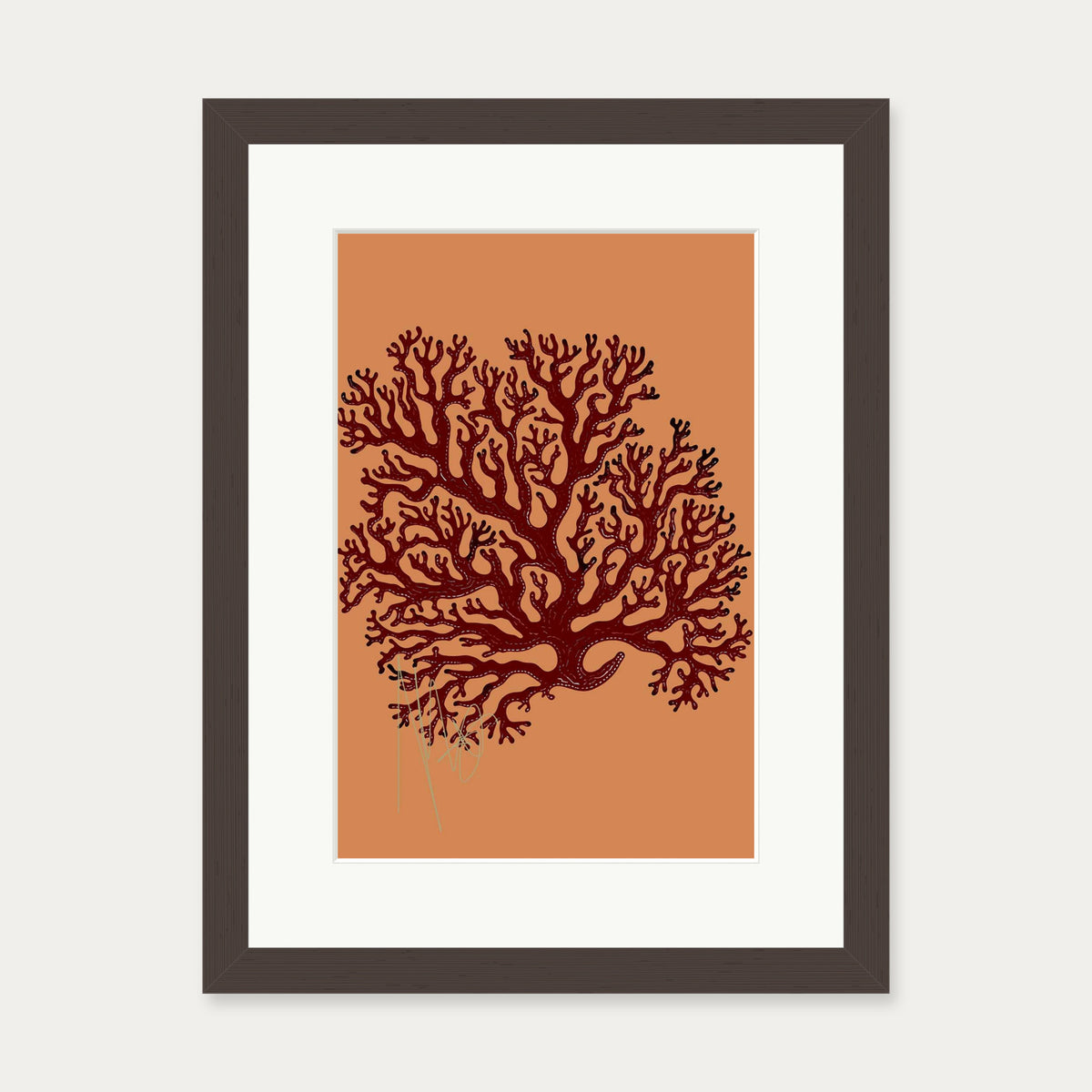 Coral Illusions Art Print — 30 x 40 cm — Brown Frame