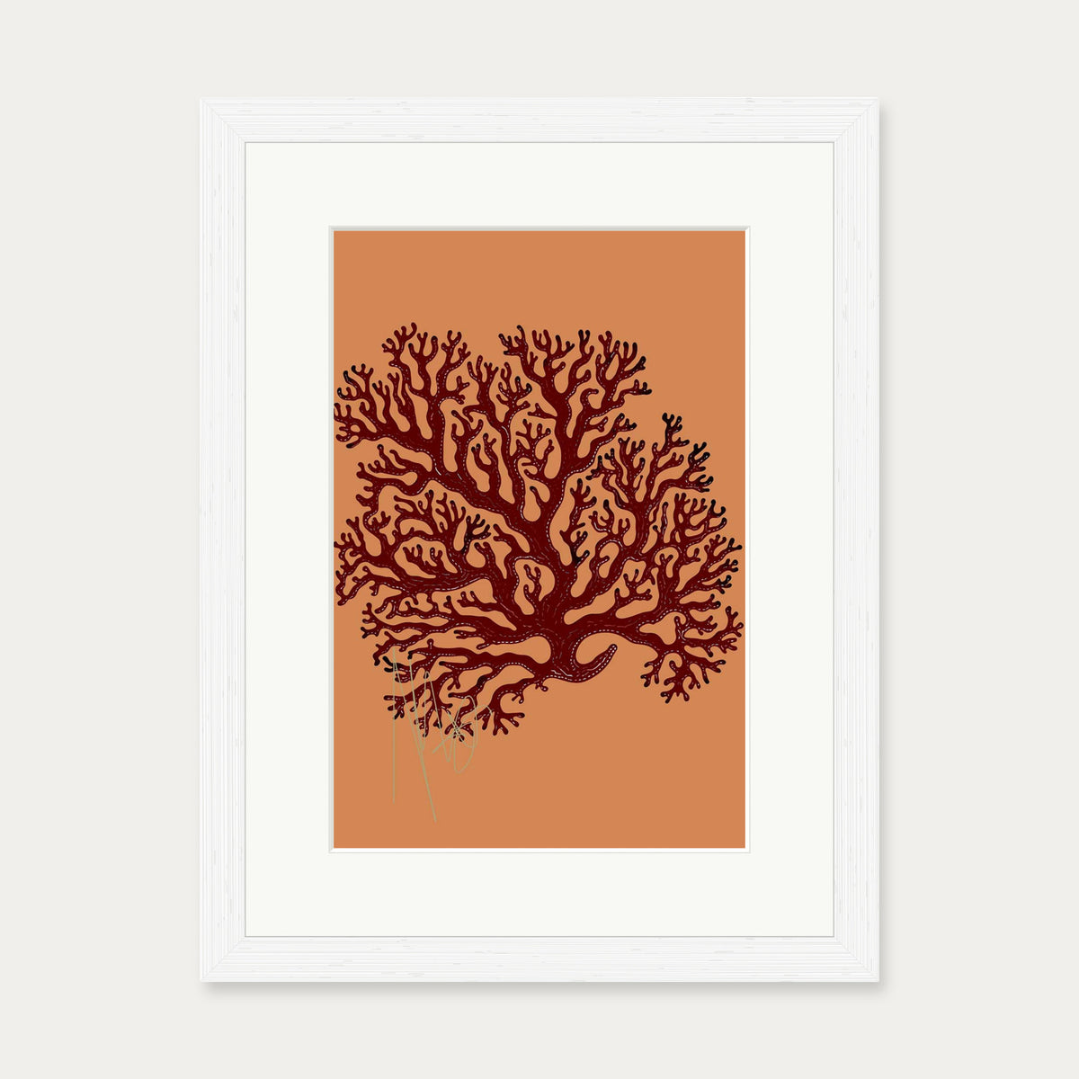 Coral Illusions Art Print — 30 x 40 cm — White Frame