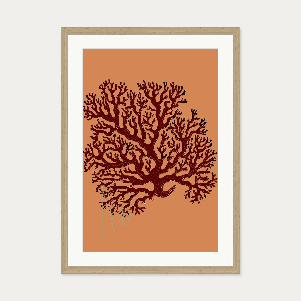 Coral Illusions Art Print — 50 x 70 cm — Oak Frame