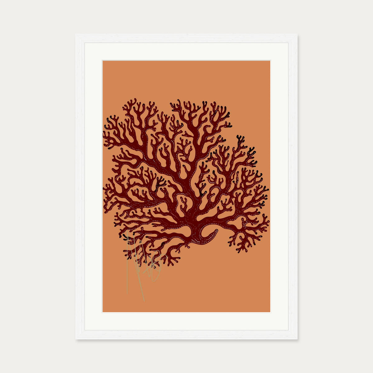 Coral Illusions Art Print — 50 x 70 cm — White Frame