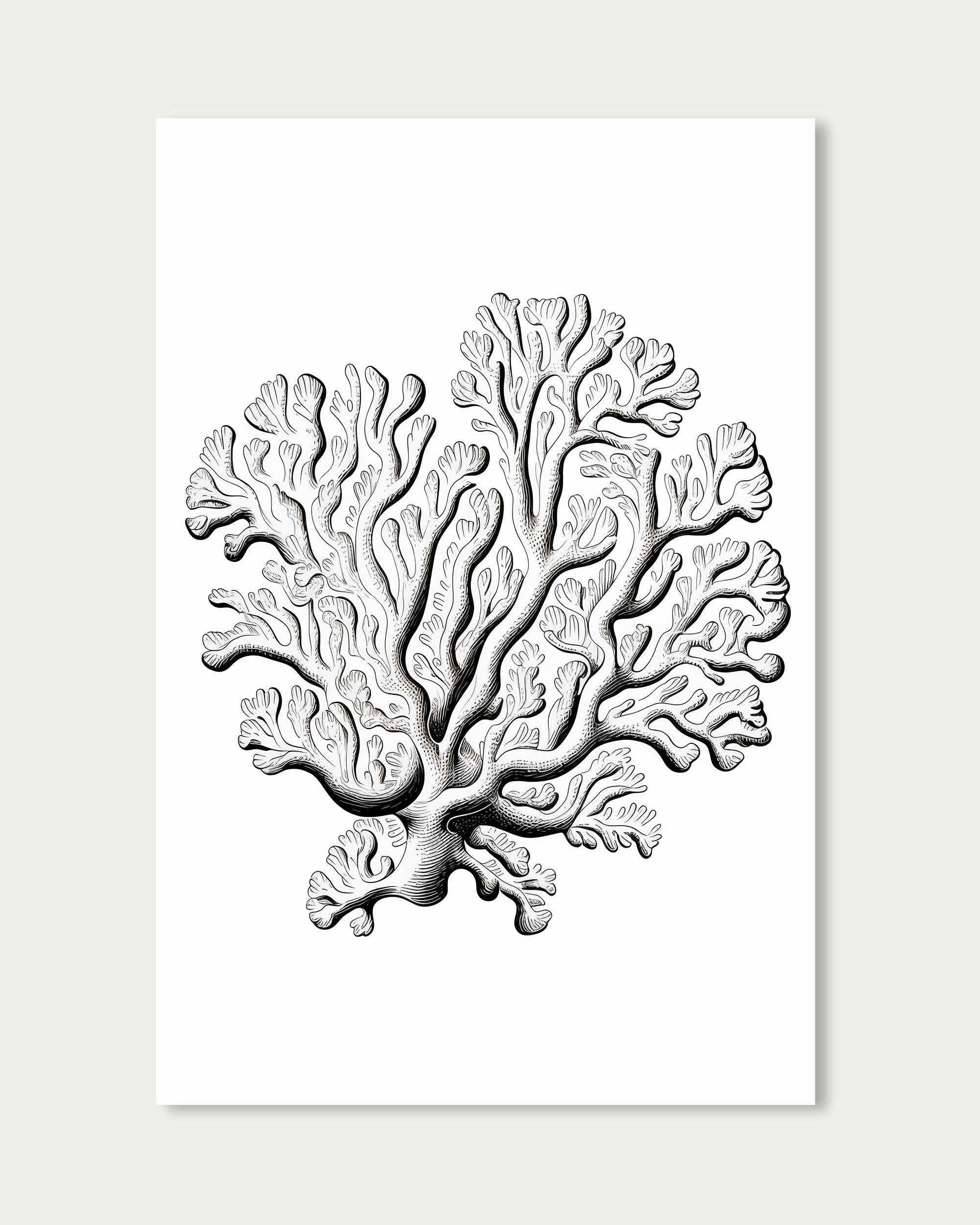 Monochrome Coral Art Print