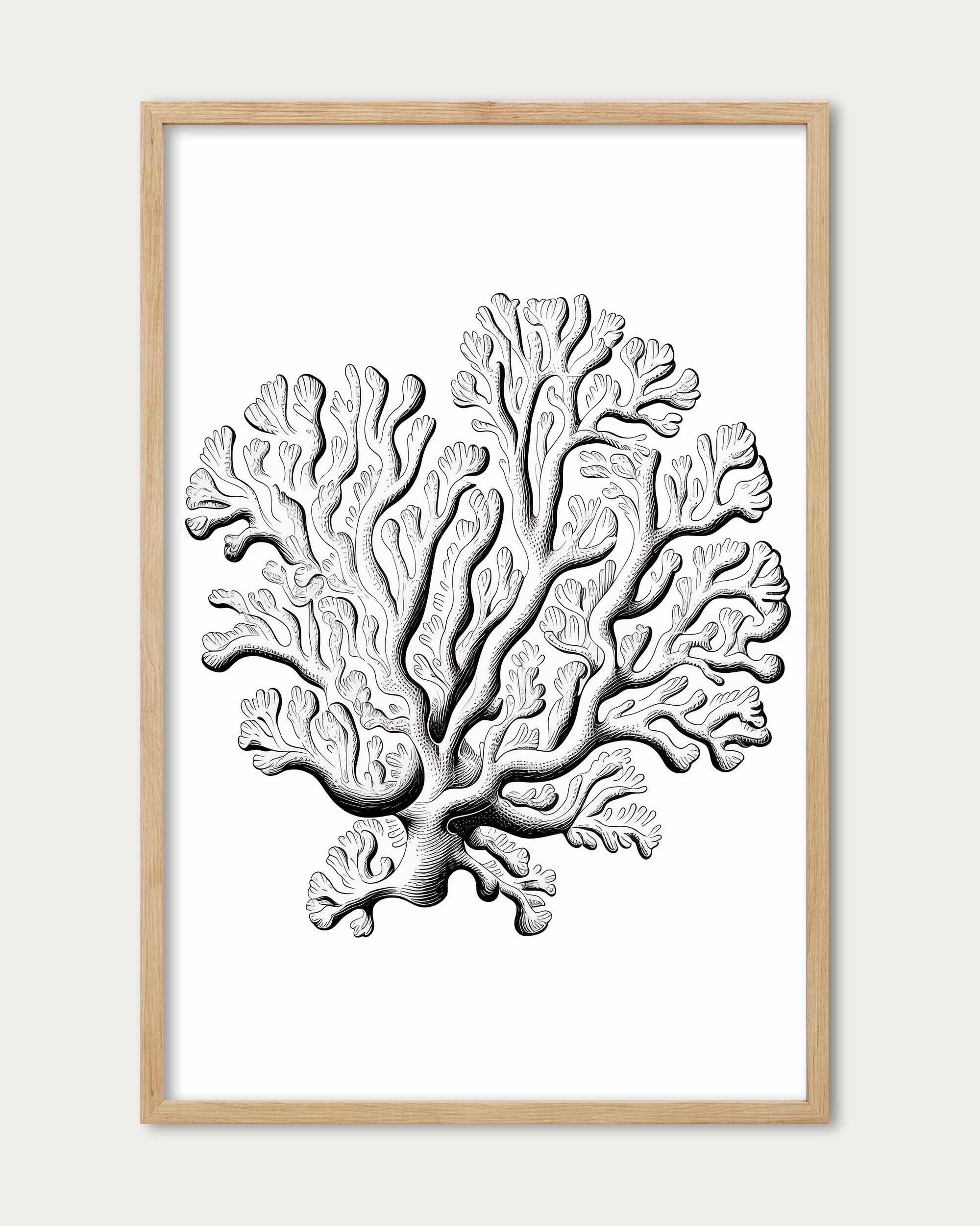 Monochrome Coral Art Print