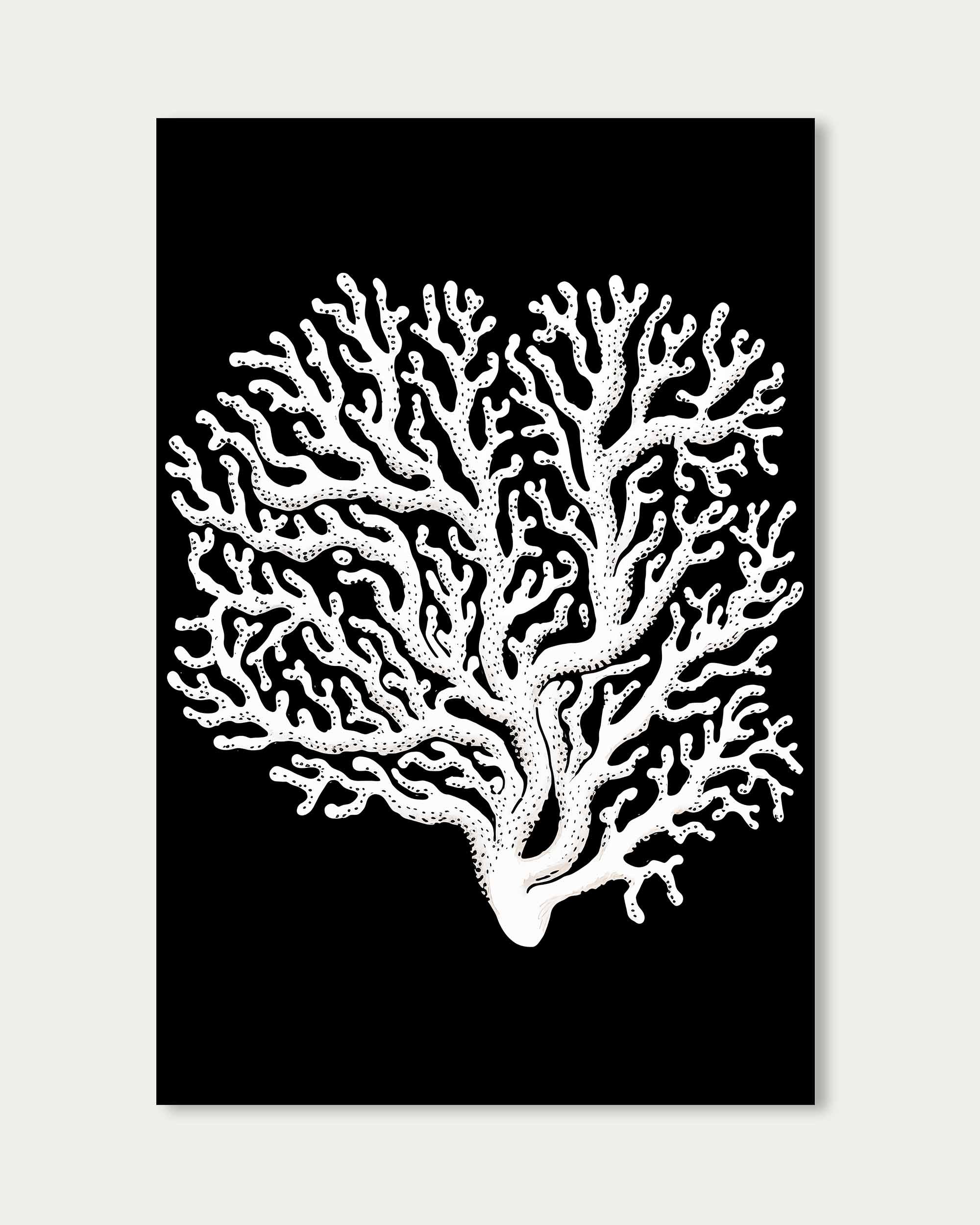 Monochrome Coral II Art Print