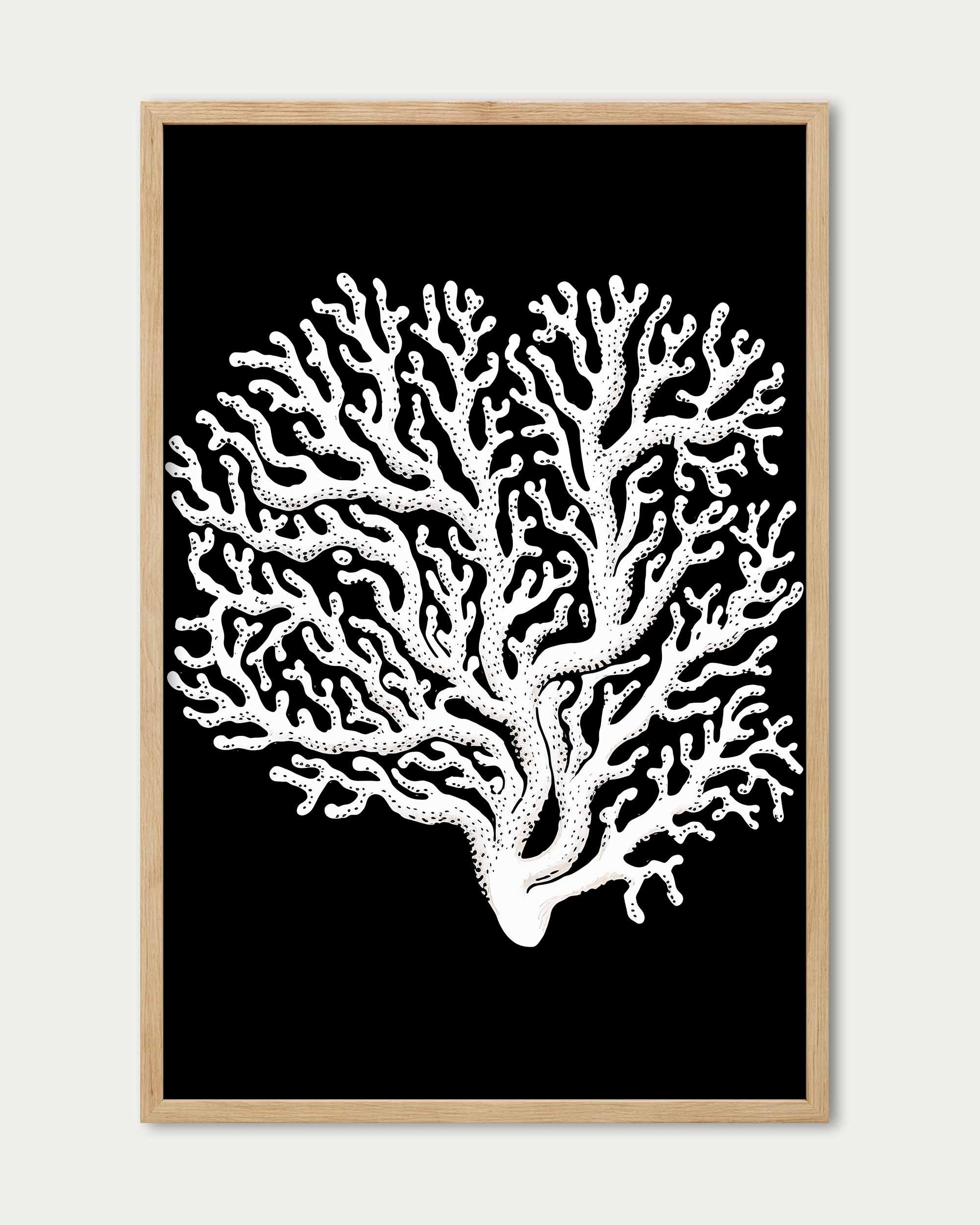 Monochrome Coral II Art Print