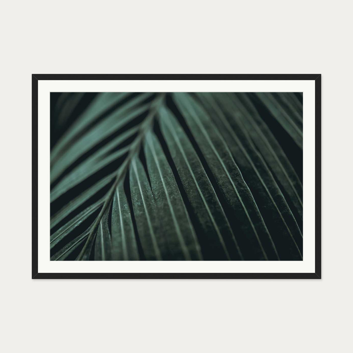 Delicate Leaf Wall Art Print — 70 x 100 cm — Black Frame