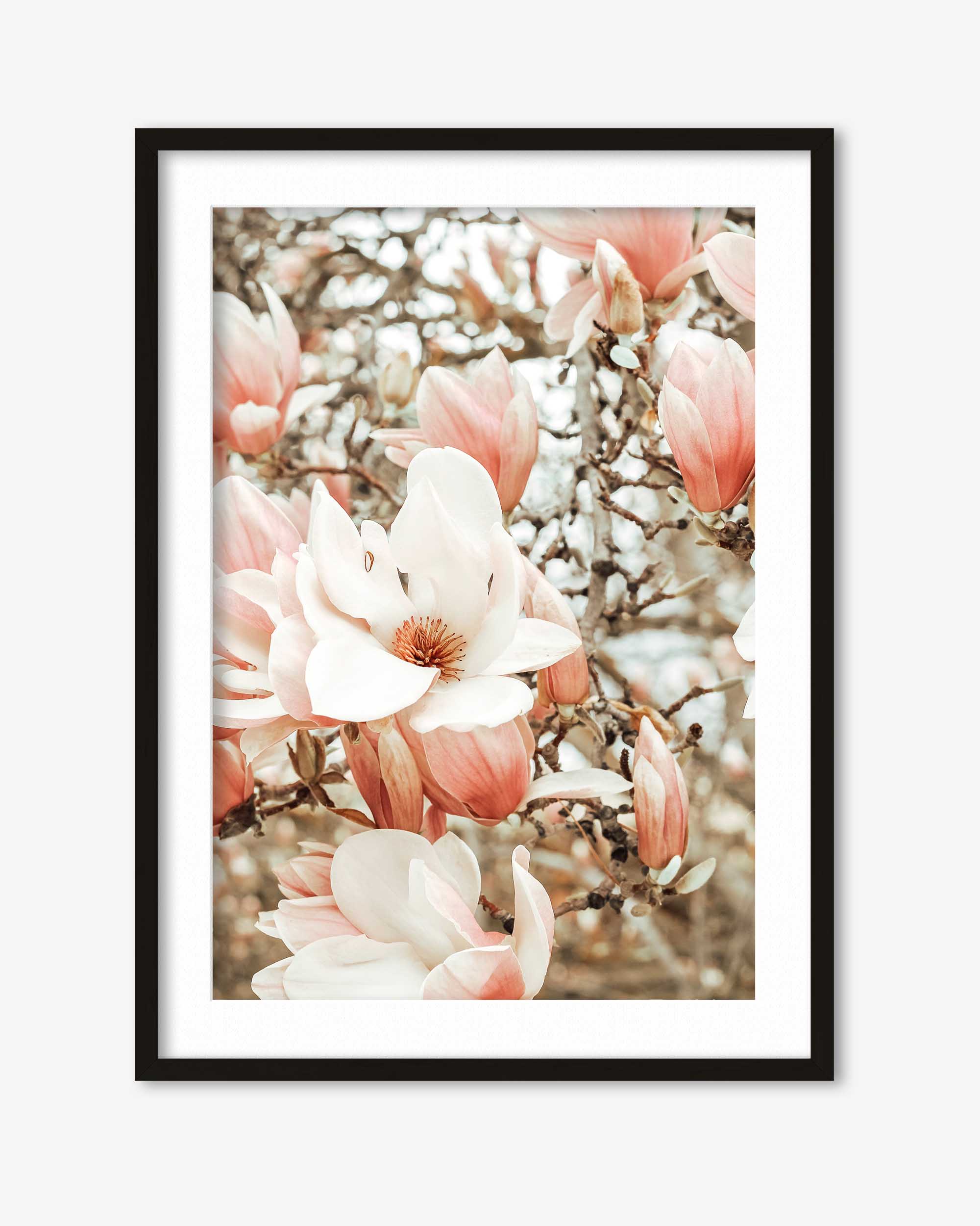 Field Of Flowers Art Print