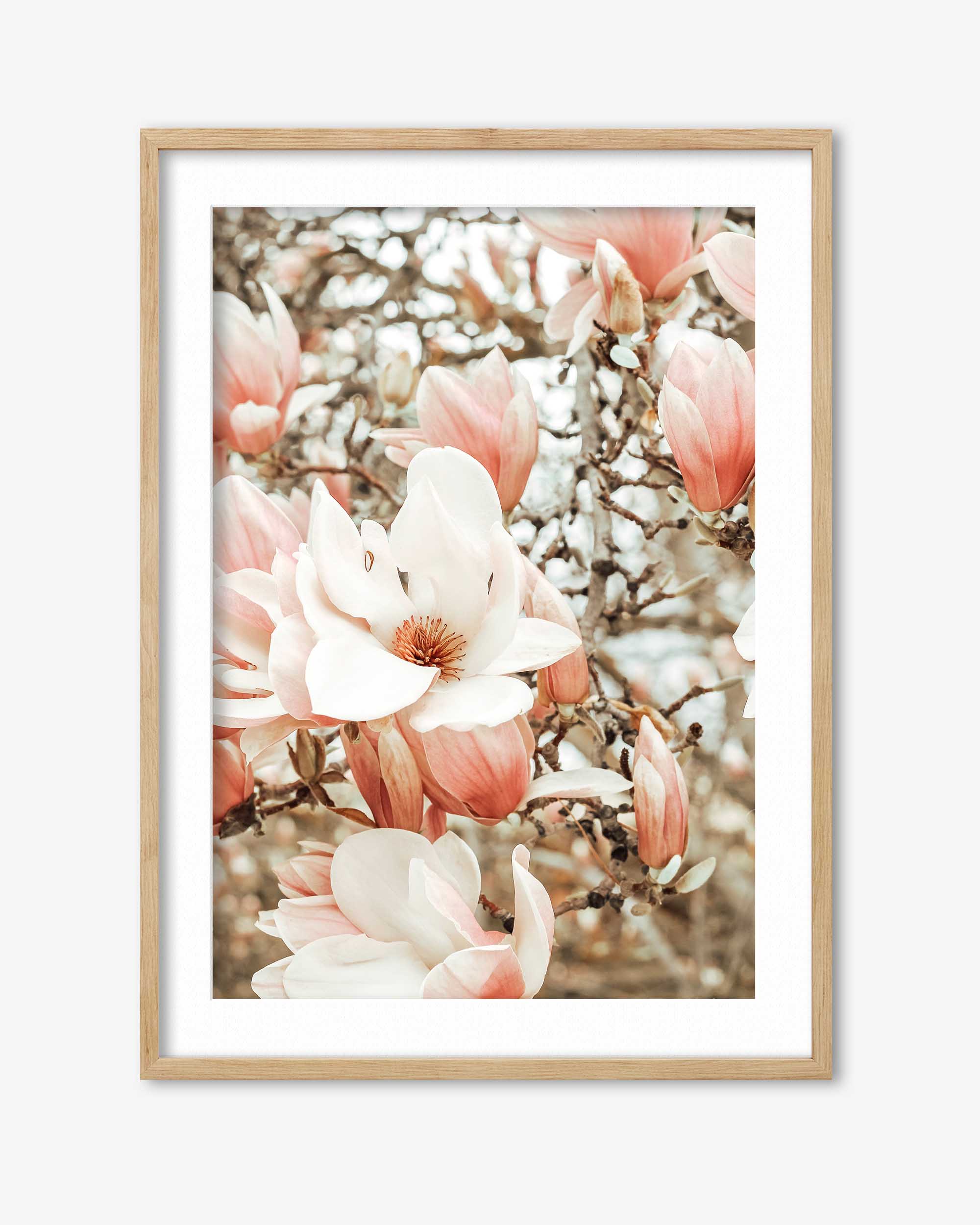 Field Of Flowers Art Print