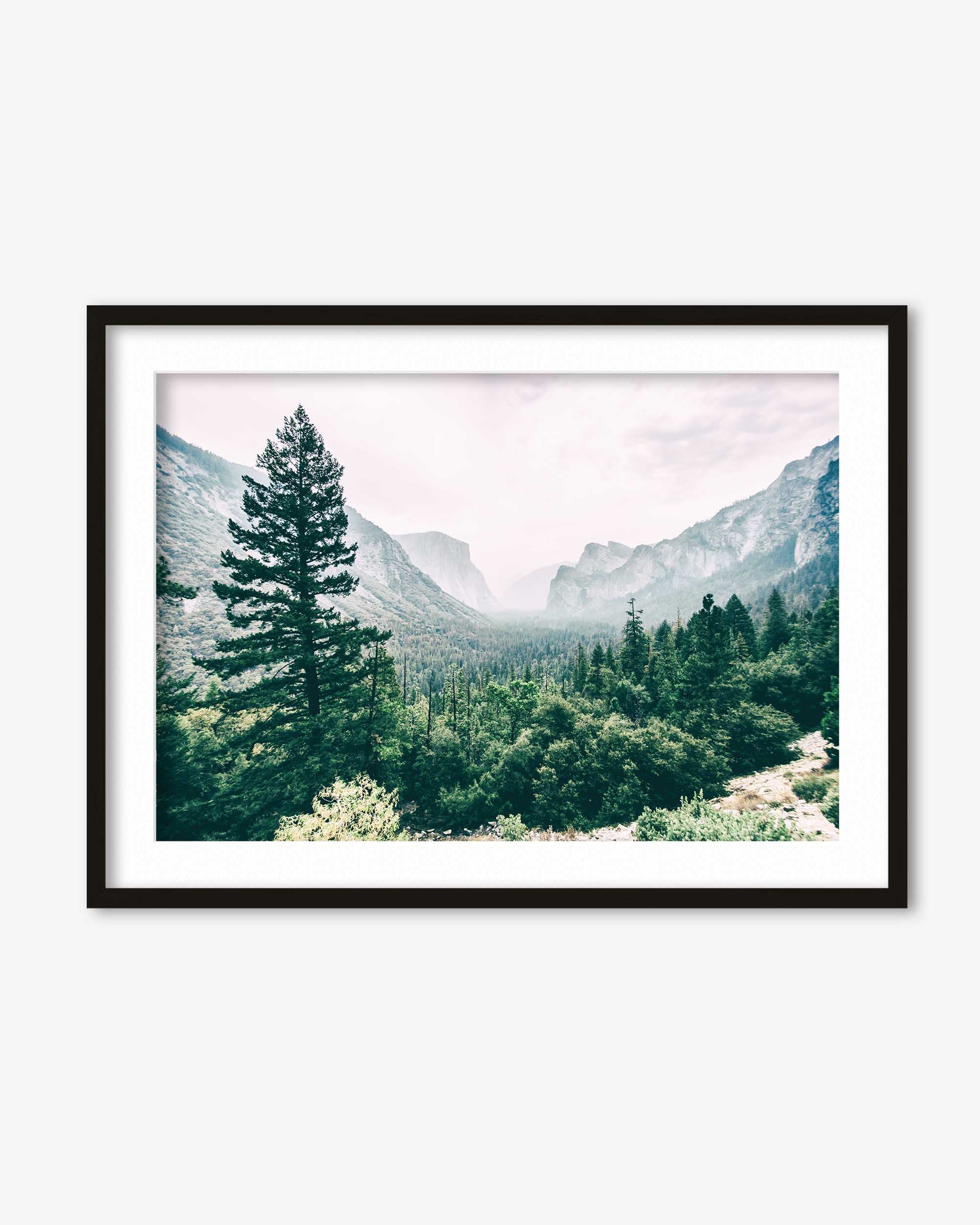 Distant Forest Art Print