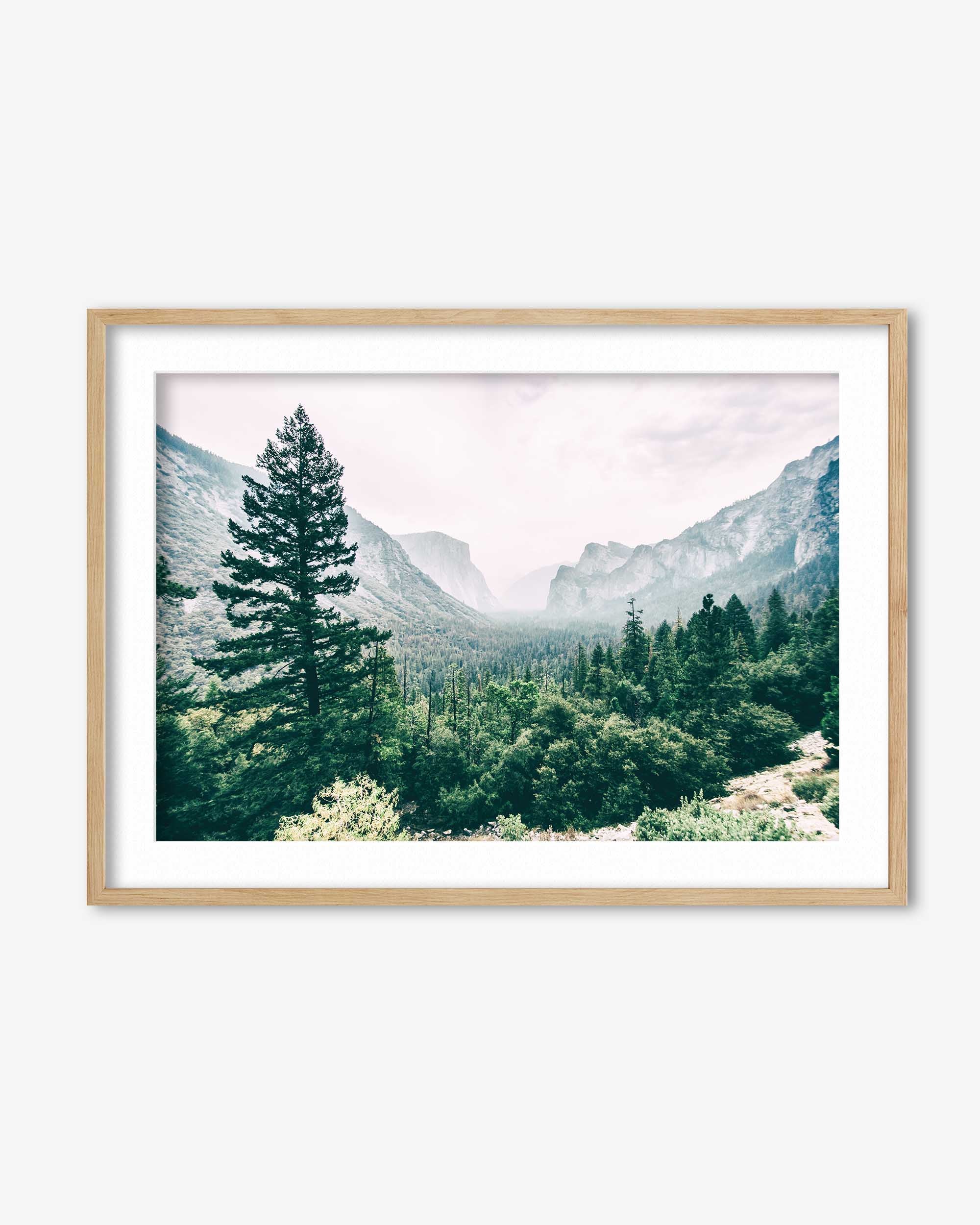 Distant Forest Art Print