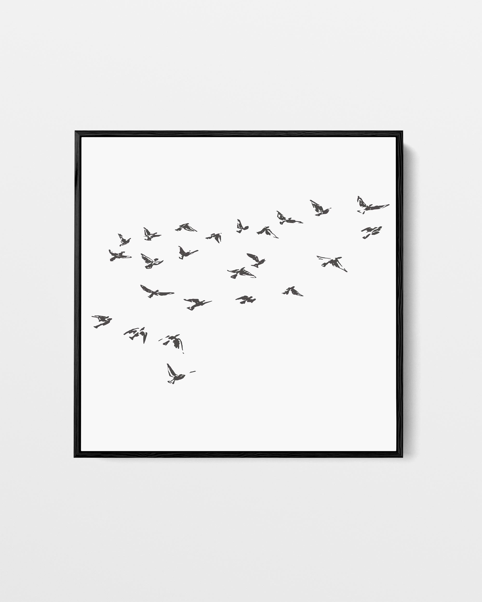 Grey Bird Sketches Canvas Art