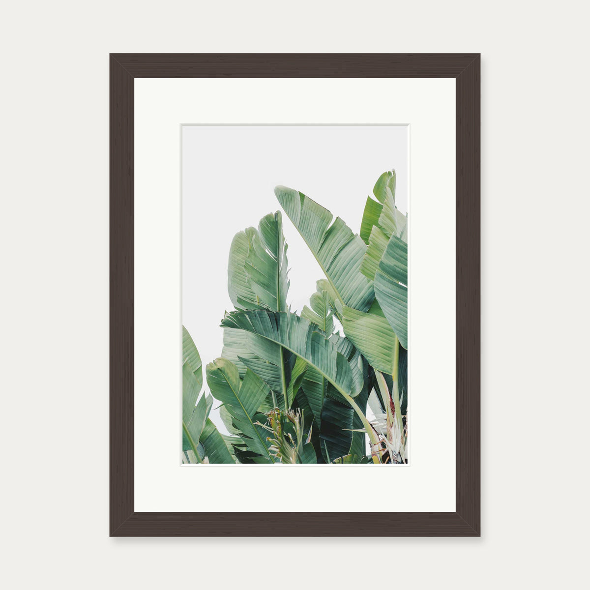 Green Botanical Leaves Wall Art Print — 30 x 40 cm — Brown Frame