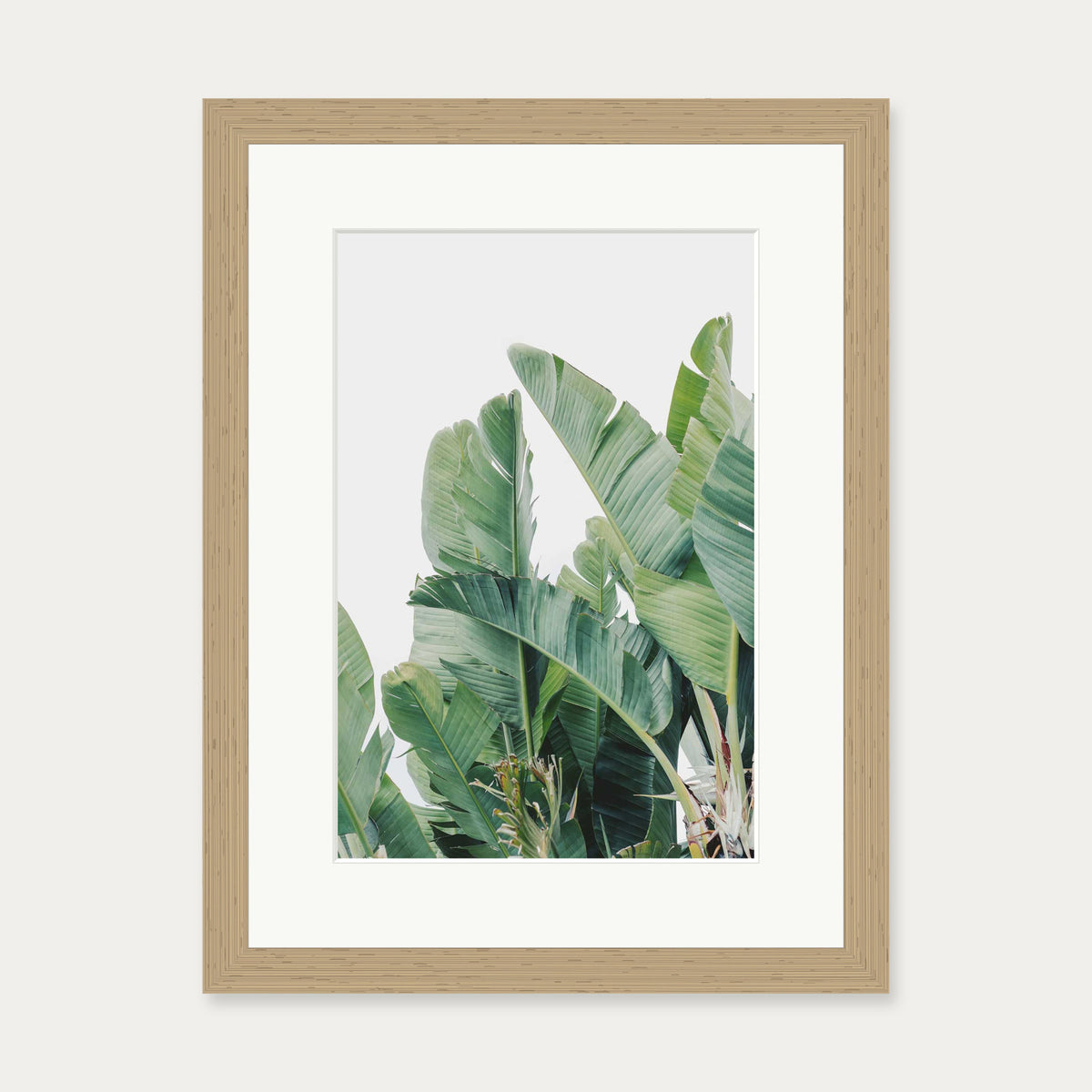 Green Botanical Leaves Wall Art Print — 30 x 40 cm — Oak Frame
