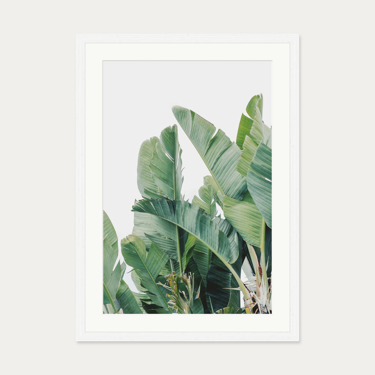Green Botanical Leaves Wall Art Print — 50 x 70 cm — White Frame