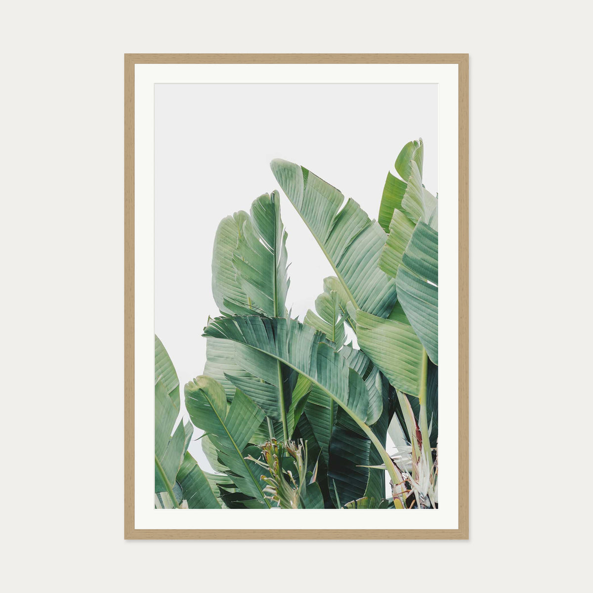Green Botanical Leaves Wall Art Print — 70 x 100 cm — Oak Frame