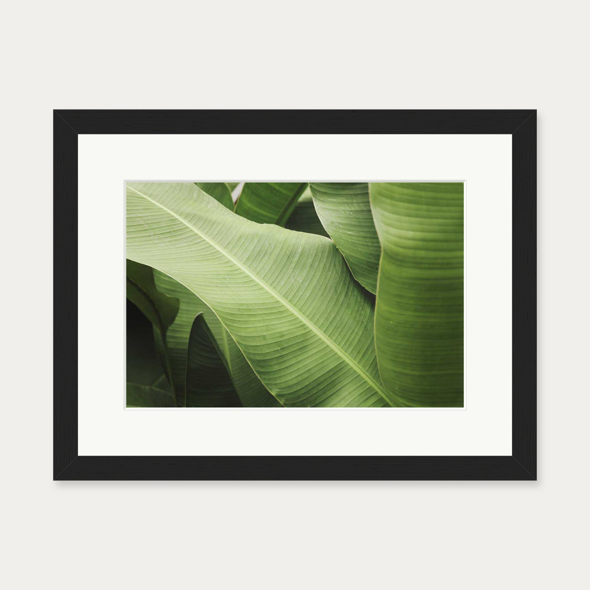 Green Botanical Wall Art Print — 30 x 40 cm — Black Frame