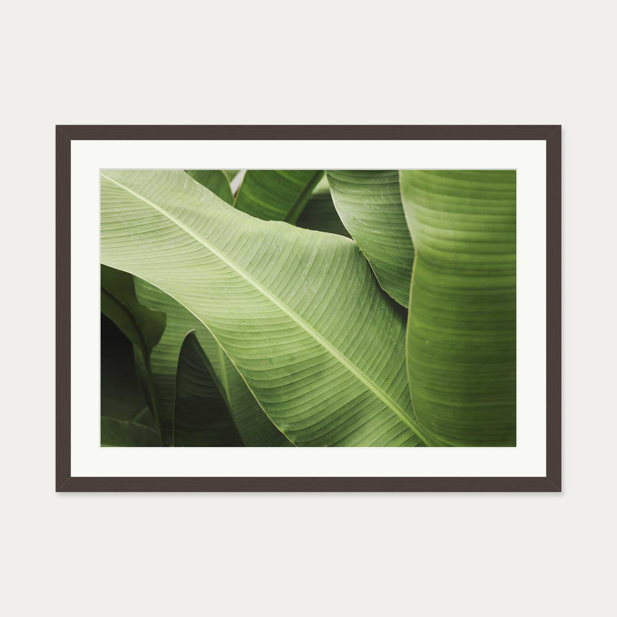 Green Botanical Wall Art Print — 50 x 70 cm — Brown Frame