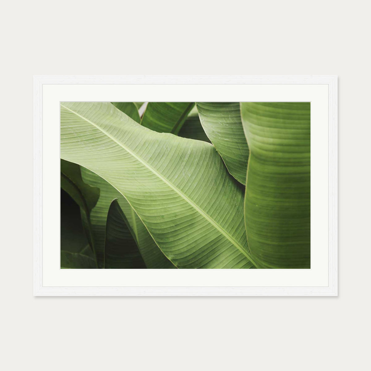 Green Botanical Wall Art Print — 50 x 70 cm — White Frame