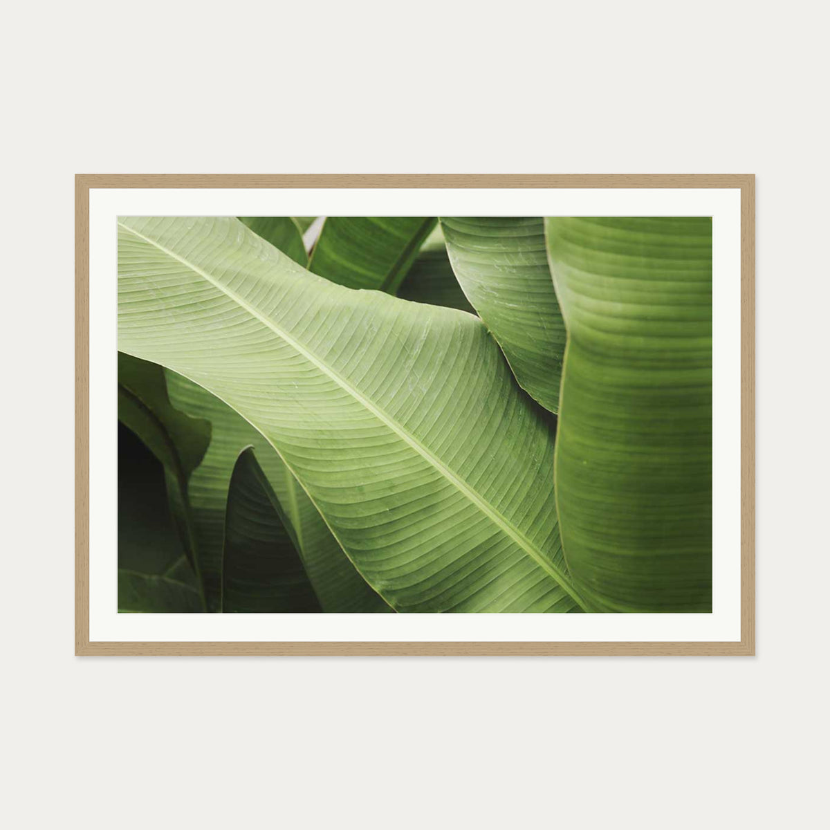 Green Botanical Wall Art Print — 70 x 100 cm — Oak Frame