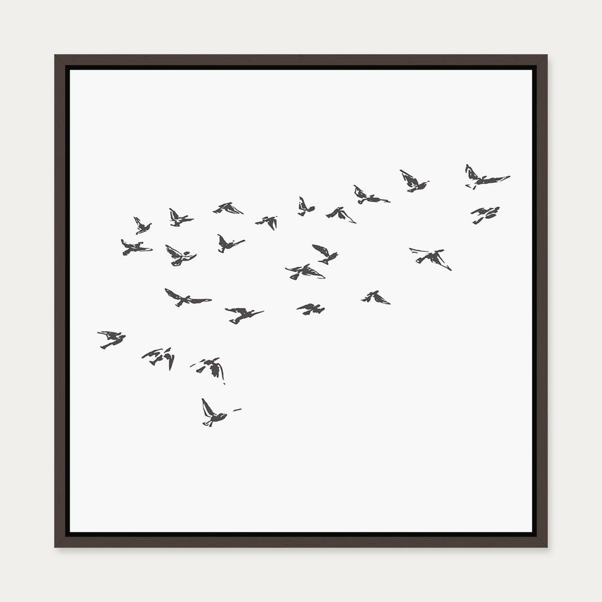 Grey Bird Sketches Canvas Art — 50 x 50 cm — Brown Frame