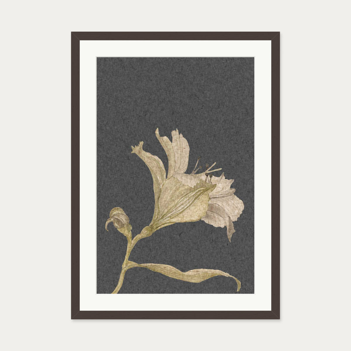 Grey Vintage Floral Stem Art Print — 50 x 70 cm — Brown Frame