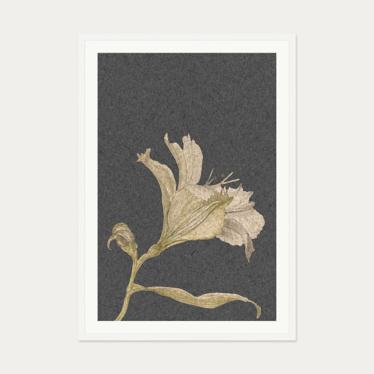 Grey Vintage Floral Stem Art Print — 70 x 100 cm — White Frame