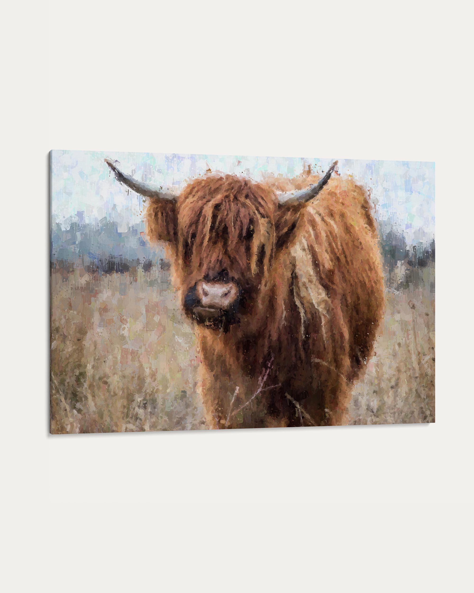 Highland cow in a field with a blurred background