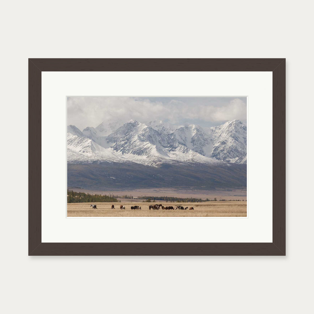 Horses In A Field Art Print — 30 x 40 cm — Brown Frame