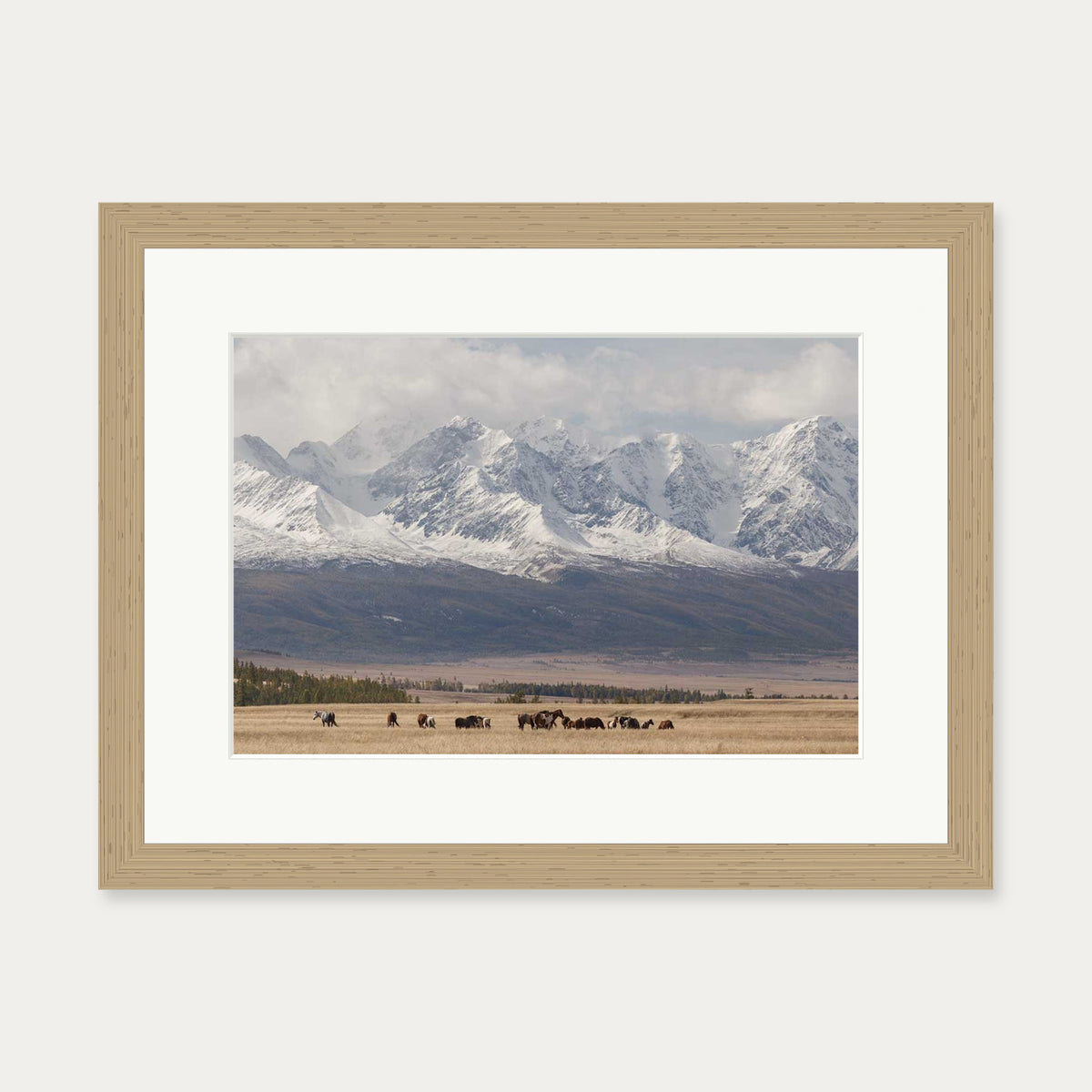 Horses In A Field Art Print — 30 x 40 cm — Oak Frame