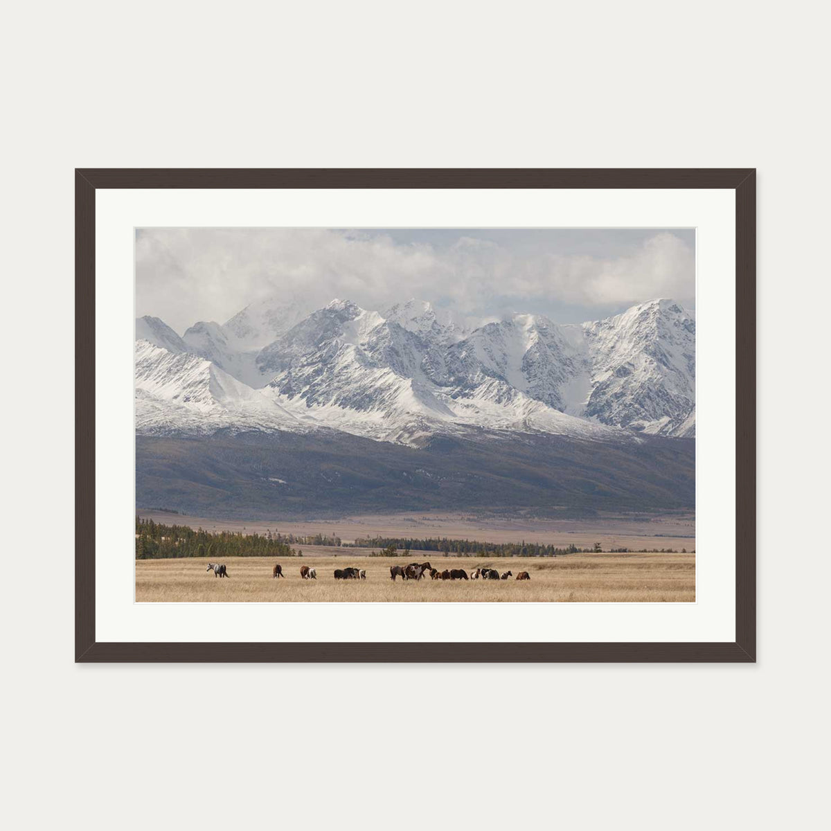 Horses In A Field Art Print — 50 x 70 cm — Brown Frame