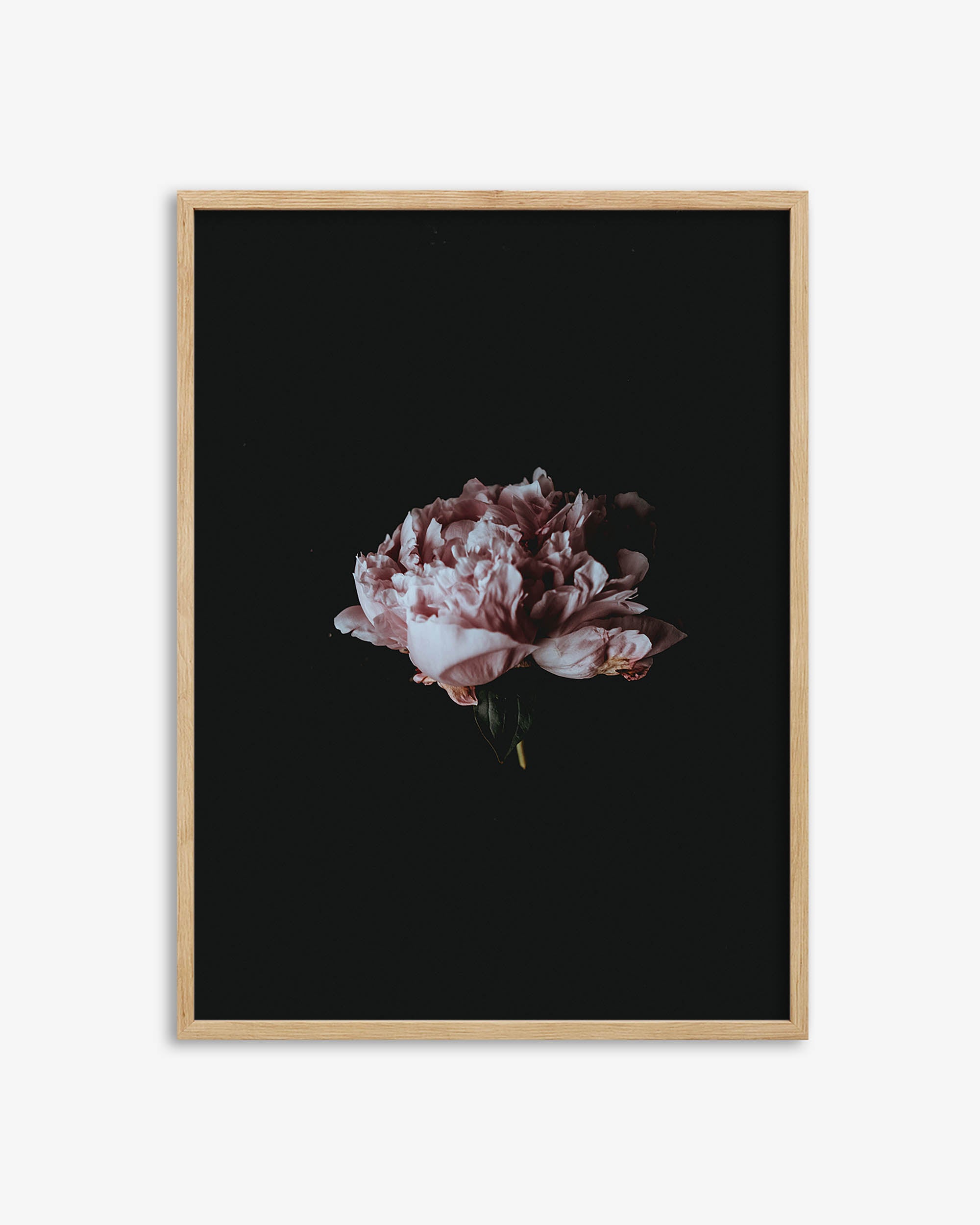 Flower Portrait Art Print